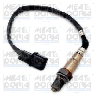 Oxygen Sensor
